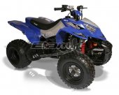 2010 BamX BX200-S1 Assault photo